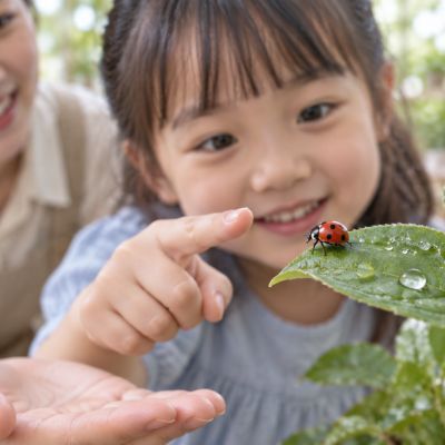 靠近看，但不伸手碰：從斑點、觸角到細小的腳，放大鏡讓微小細節變得清楚。