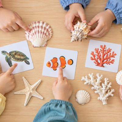 從海洋找靈感：孩子俯看貝殼和無字海洋圖片，觀察形狀、線條與顏色。