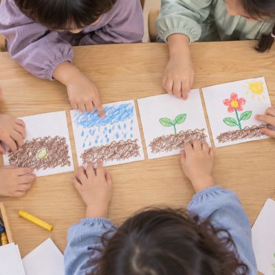 故事會發生什麼事：大家用種子、雨、嫩芽和花的圖卡討論故事可能怎麼走。