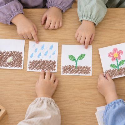把故事排整齊：孩子從上方比較四幅圖，找出種子、雨、芽、花的順序。
