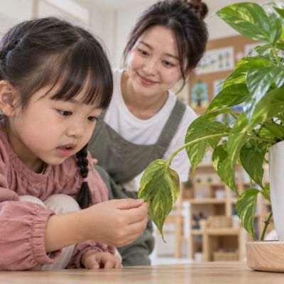 有片葉子垂下來：孩子蹲在盆邊發現一片葉子沒有挺起來。