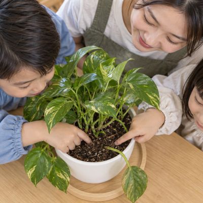土摸起來乾乾的：孩子輕觸表土，感受它和平常的不同。