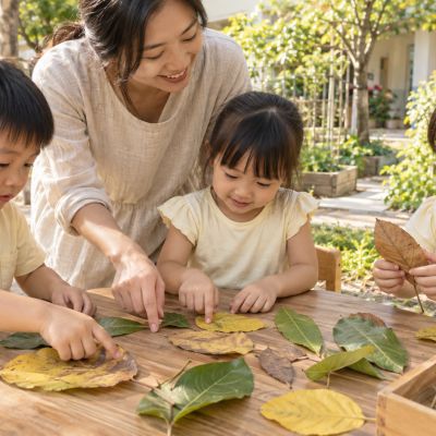 圓圓的、尖尖的、長長的，原來每片葉子都不一樣。